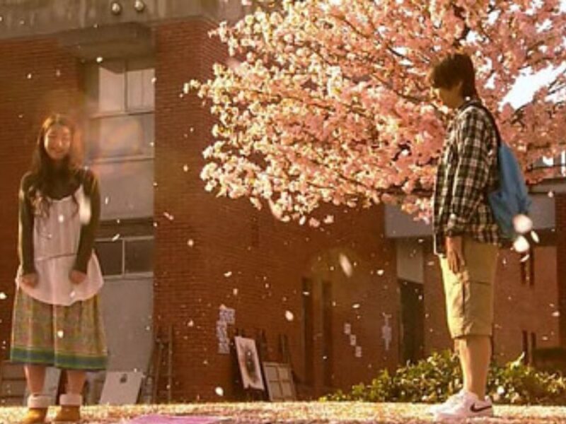Honey and Clover