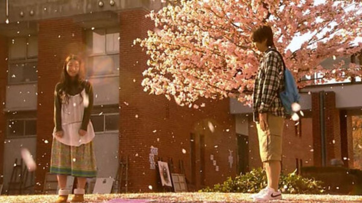 Honey and Clover