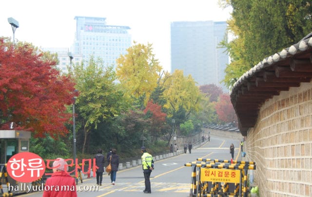 Korean autumn at Deoksogung