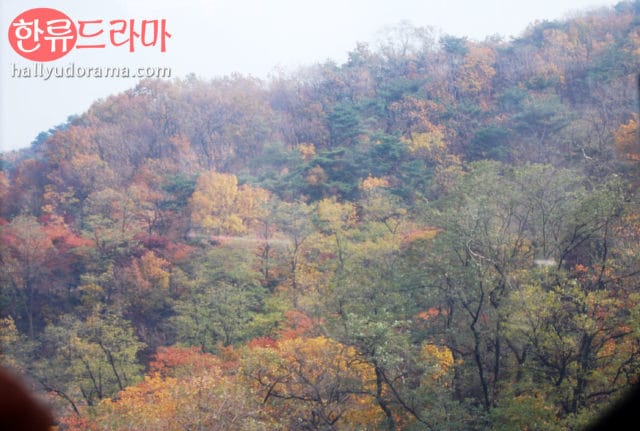 Korea Autumn at Namsan 