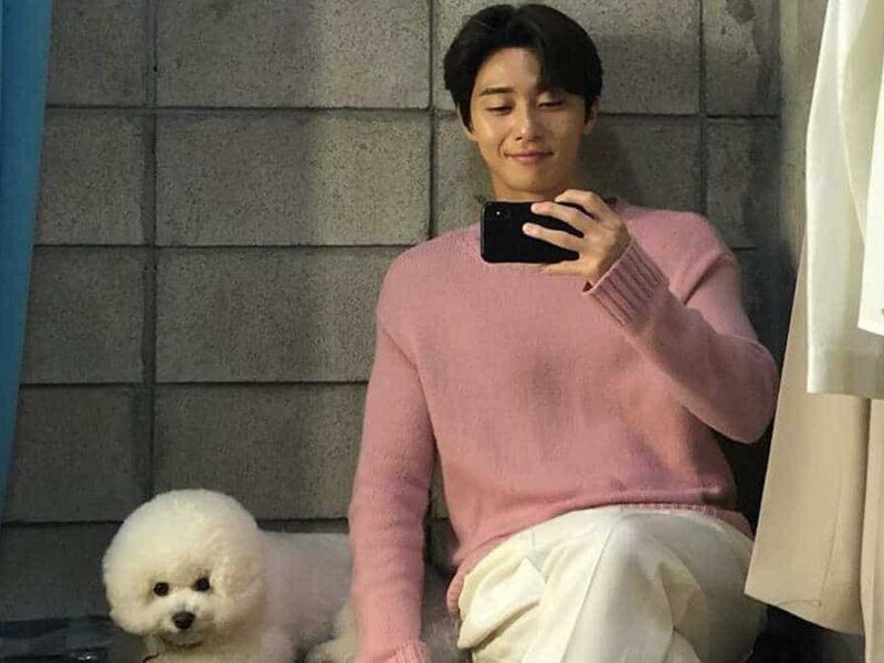 Park Seo-joon is Smart?
