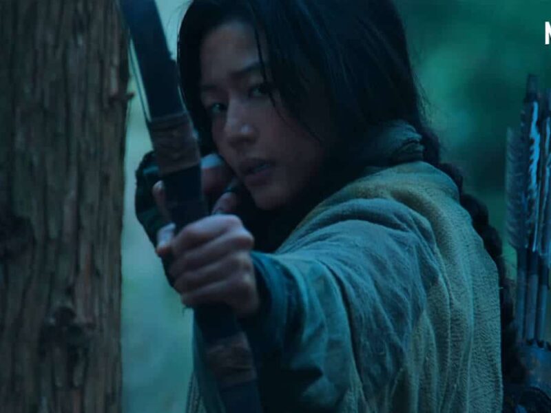 Ashin of the North